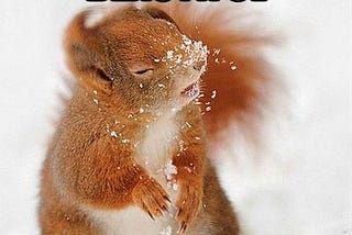 Easy, Breezy, Beautiful… Django Unit Tests