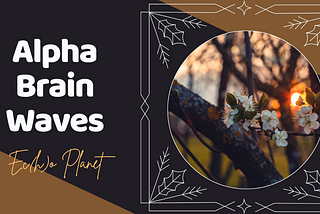 Relax and Boost Your Creativity with Alpha Brain Waves Music — Lower Stress and Reduce Anxiety