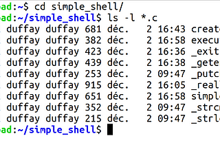 What happens within typing “ls -l *.c” command in a Linux Shell ?