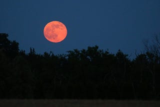 Earth & Us: Soaking in the Summer Solstice, 2025