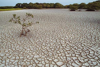 Water Scarcity