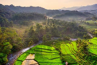 Regenerative agriculture: a shared ambition for the supply chain?