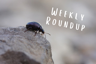 Photo of a bug. Text overlay says “Weekly Roundup.”