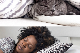 Catnaps are good for your Mental Health