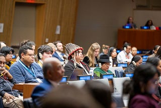 Inclusion is Prevention: Indigenous Rights at the Core of Peace