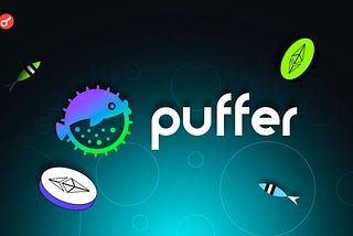 How to install and run a Puffer node detailed guide