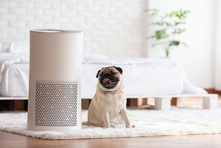 7 Reasons why you should buy an Air Purifier