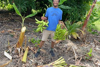 A black young adult male smiling, in a garden, standing in front of a mango tree and holding a stem of green plantain in each hand.