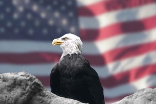 Bald Eagle & American Flag