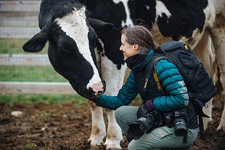 Animal photojournalist Jo-Anne McArthur shares a moment with Sven (whose name is Old Norse for “little warrior”), who was rescued from a barn fire as a calf. Farm Sanctuary, Watkins Glen, New York, USA, 2023. Victoria de Martigny / We Animals Media
