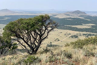 A Letter from Austin #22: Walking Capulin