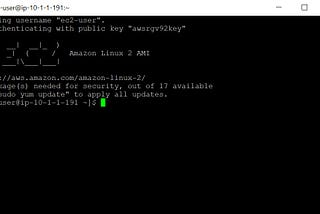 Understanding and creating Virtual Private Cloud(VPC) and Creating EC 2 Instance.