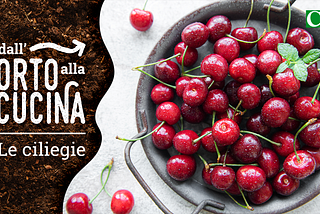 Dall’orto alla cucina — Le Ciliegie