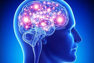 The tortuous trail of brain development