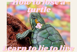 The Story of Addiction, Lies and a Runaway Turtle