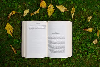 10 Benefits From a Year of Reading Books Everyday