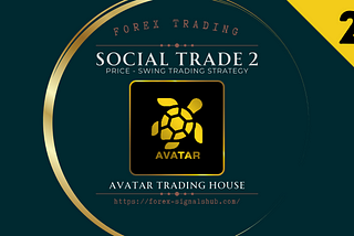 Exness Social Trade Signals: Stable Gain V2