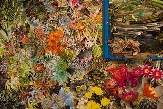 Cats, Cacti and Cornucopias Collide in Crazy-Detailed Collage