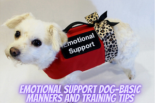 An Emotional Support Dog Guide To Basic Manners And Training Tips