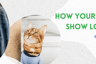 Fashion with a Purpose: How Your Wardrobe Can Show Love for Cats