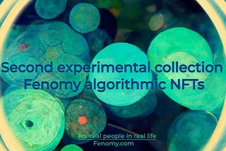 Second algorithmic Fenomy NFT drop