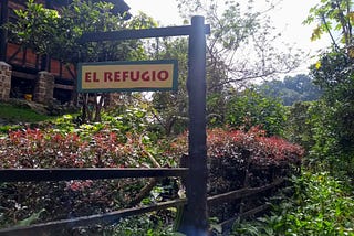 REGRESANDO A LA LUZ