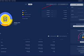 Understanding Copy Trading on CoinMetro (TraM)