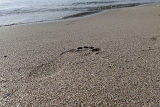 [по]стъпки в пясъка