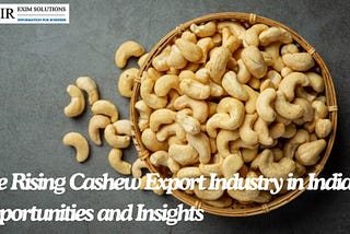 The Rising Cashew Export Industry in India: Opportunities and Insights