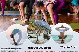 Join Our 200 Hour Yoga Teacher Training in Rishikesh