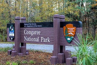 5 Memorable Sights of Congaree National Park