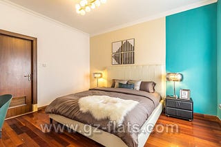 Amazing stylish apartment for rent in Guangzhou