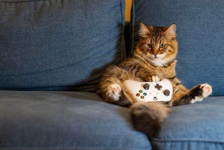 What I’m Doing With My One Wild and Precious Life on Black Friday
