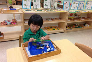 Working is Fun with the Montessori Method