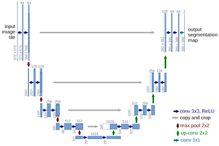 Building U-Net architecture for biomedical image segmentation.