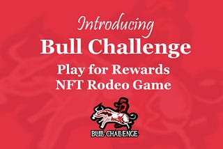 Intoducing Bull Challenge