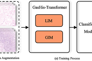 Gastric Histopathology Image Classification by Transformer, GasHis-Transformer