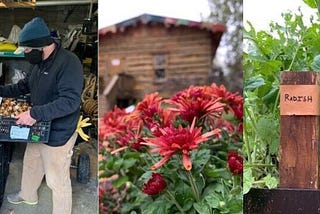 A Closer Look: Fall in Philbrook Gardens