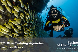 Survey Results: What is The Best Dive Training Agency in 2024?