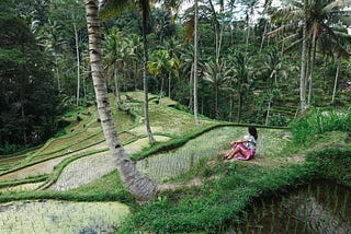 Class Launched to Teach Australians Self-Sufficiency In Ubud, Bali