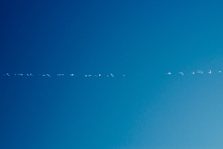 Weeknotes #11 Pragmatic Optimism (26–30 July)