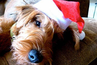 A mobile app is not just for Christmas