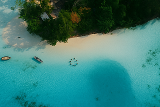 “There Are No Dolphins on Dolphin Island But What I Found Was Even More Unexpected”