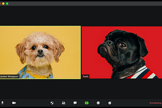 Online meeting with two participants. Both using pictures of dogs.