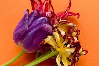 Changing the conversation