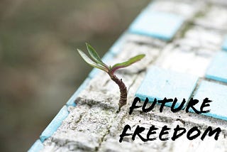 Future Freedom