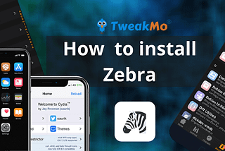 How to Install Zebra?