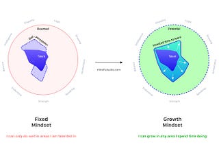 Do you have a Fixed Mindset or a Growth Mindset