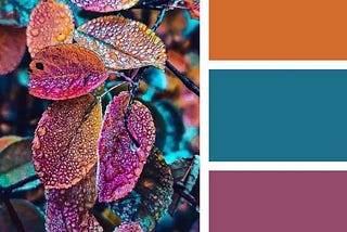 Color Palettes: Basic, Psychology, Harmonious combination, Branding, and Identity.