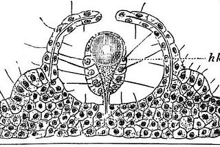 The Biophysics of Paradigm Change
